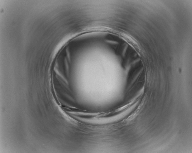 X0000075361430200609251051