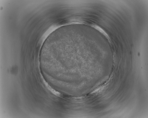 X0000075361431200609251051