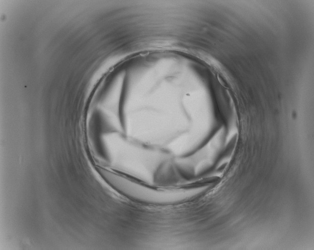 X0000075361432200609251051