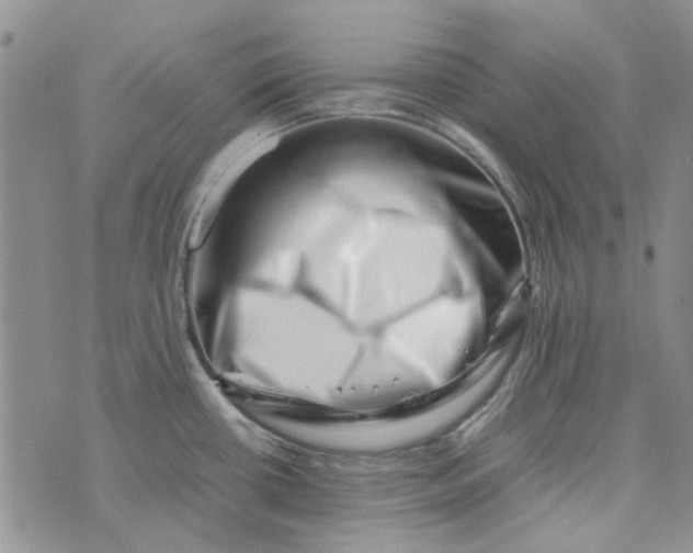 X0000075361434200609251051