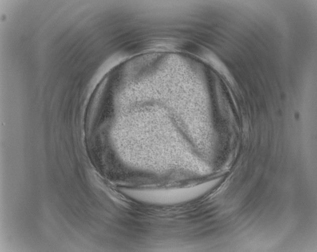 X0000075361435200609251051