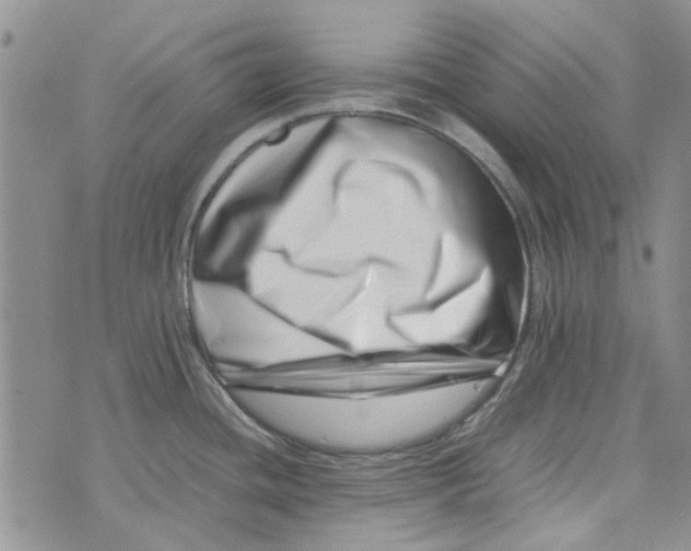 X0000075361436200609251051