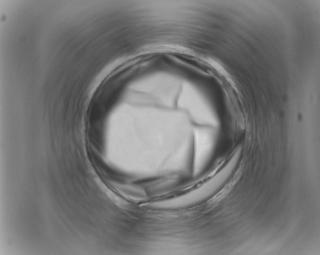 X0000075361438200609251051