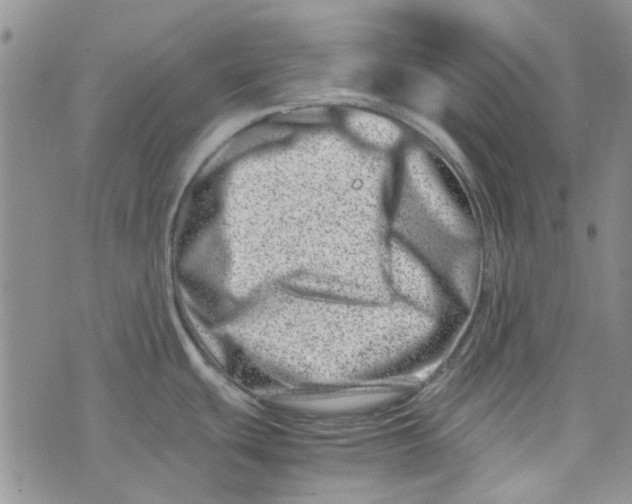 X0000075361439200609251051