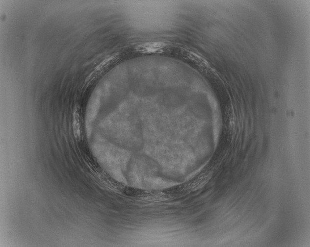 X0000075361442200609251050