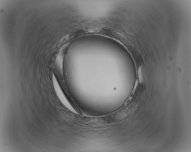 X0000075361443200609251050