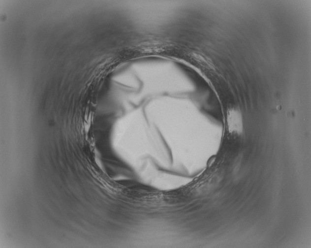 X0000075361444200609251050