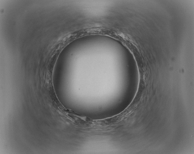 X0000075361445200609251050