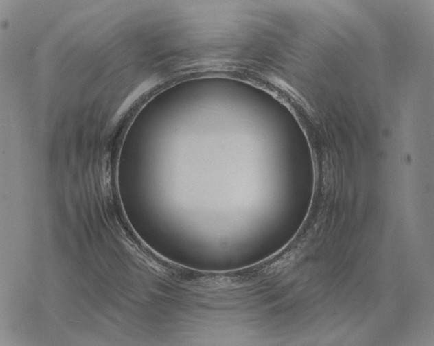 X0000075361450200609251050