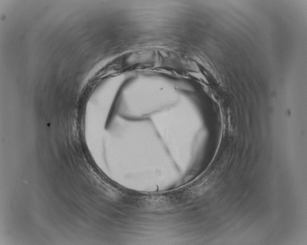 X0000075361452200609251050