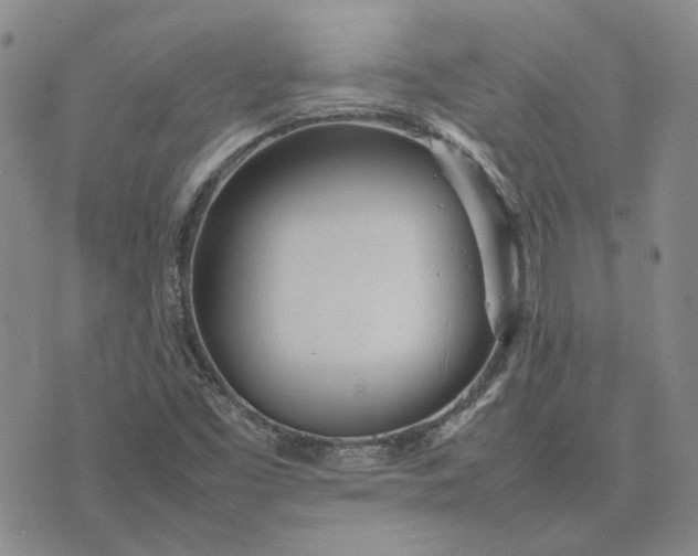 X0000075361453200609251050