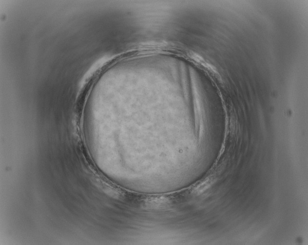 X0000075361454200609251050