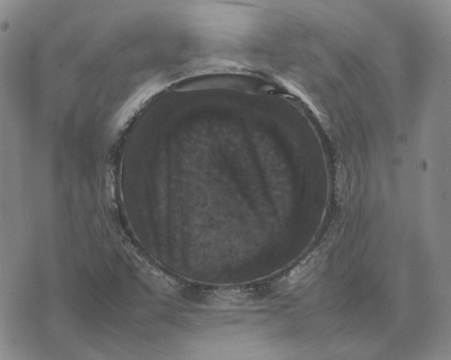 X0000075361455200609251050