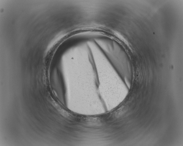 X0000075361456200609251050