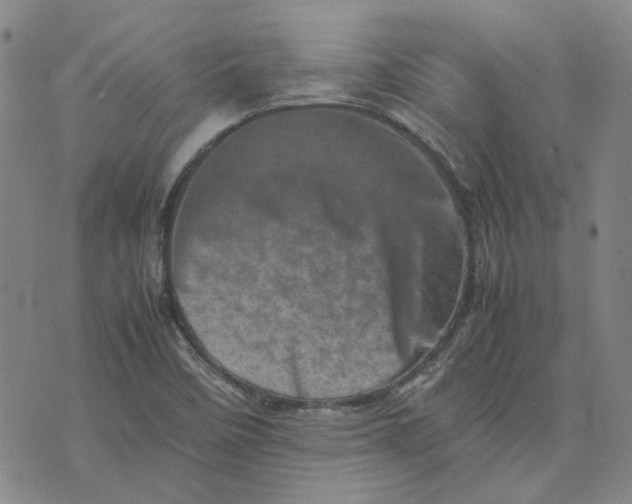 X0000075361458200609251050