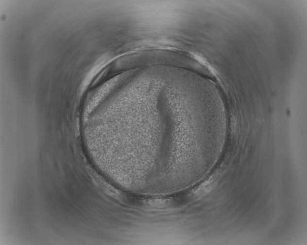 X0000075361459200609251050