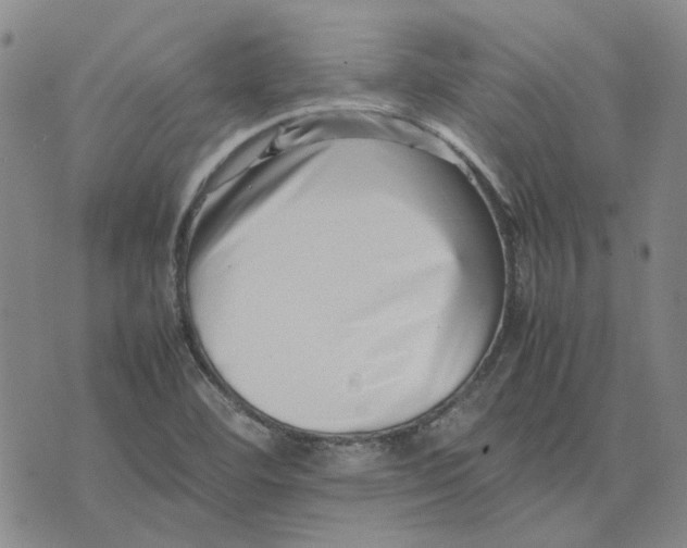 X0000075361460200609251050