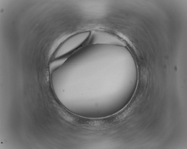 X0000075361461200609251050