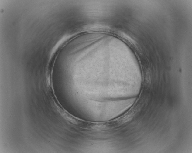 X0000075361462200609251050