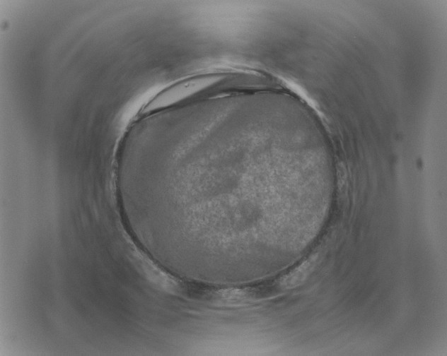 X0000075361463200609251050