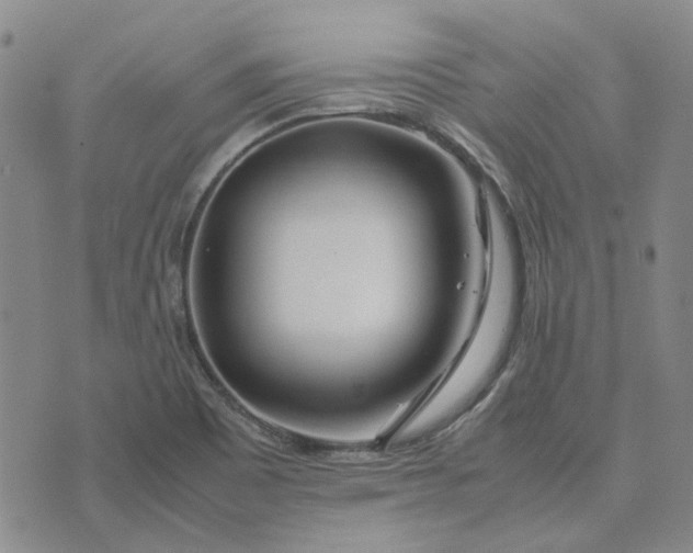 X0000075361465200609251050