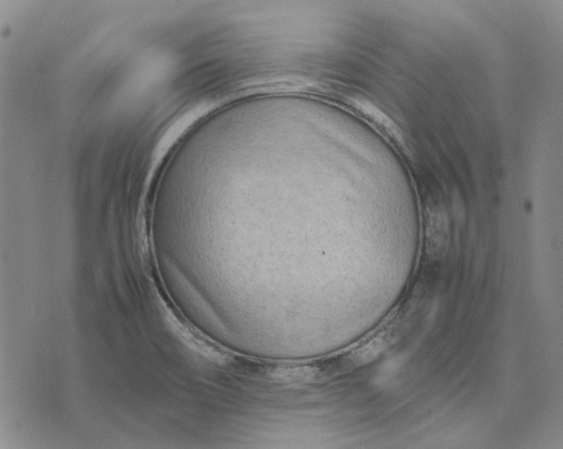 X0000075361466200609251050