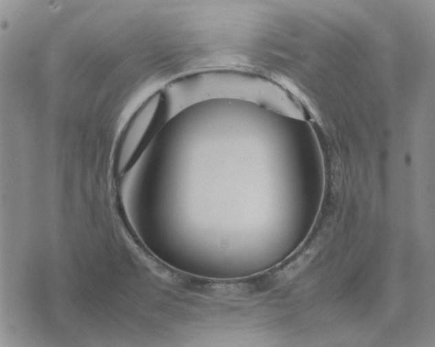 X0000075361469200609251049