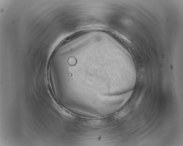 X0000075361470200609251049