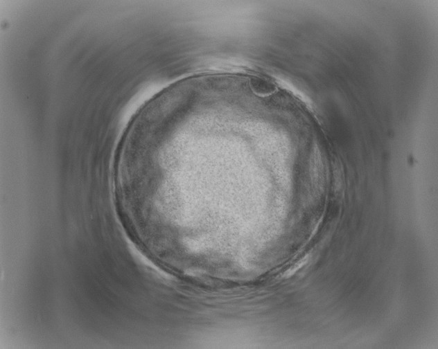 X0000075361471200609251049