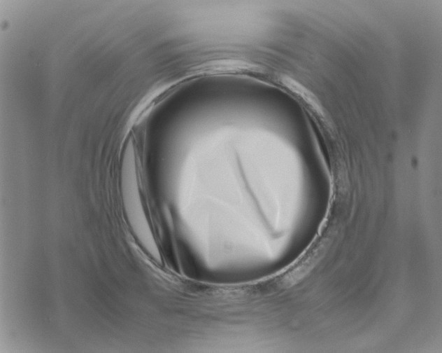 X0000075361473200609251049