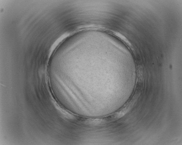 X0000075361474200609251049