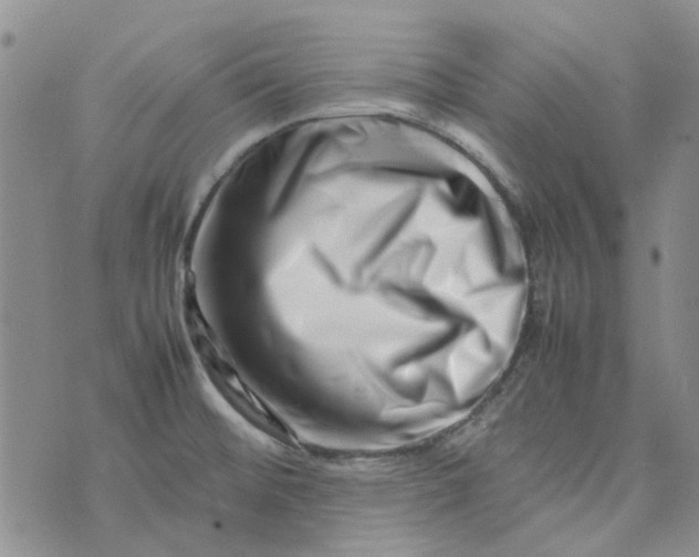 X0000075361476200609251049