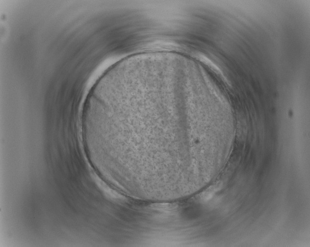 X0000075361478200609251049