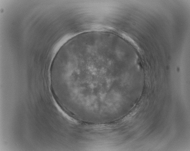 X0000075361479200609251049