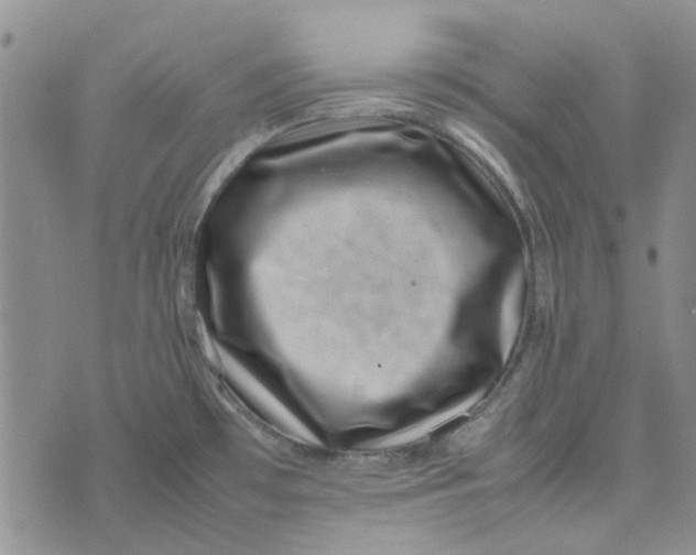 X0000075361481200609251049