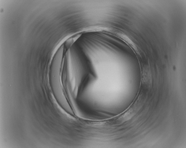 X0000075361484200609251049