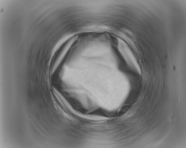 X0000075361486200609251049