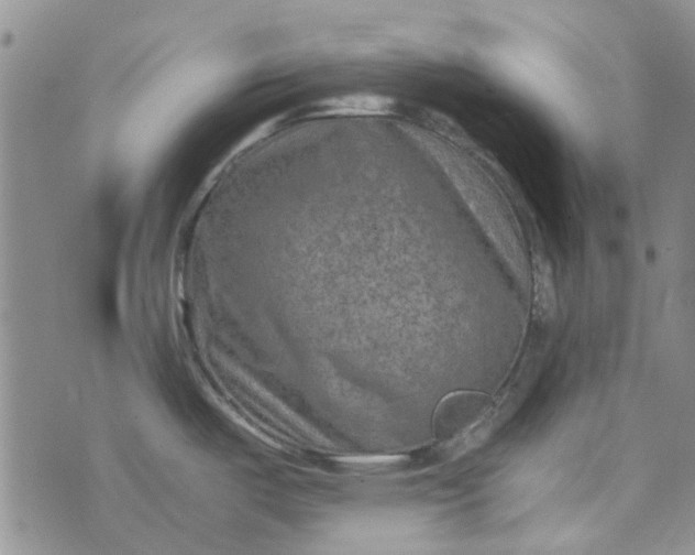 X0000075361487200609251049