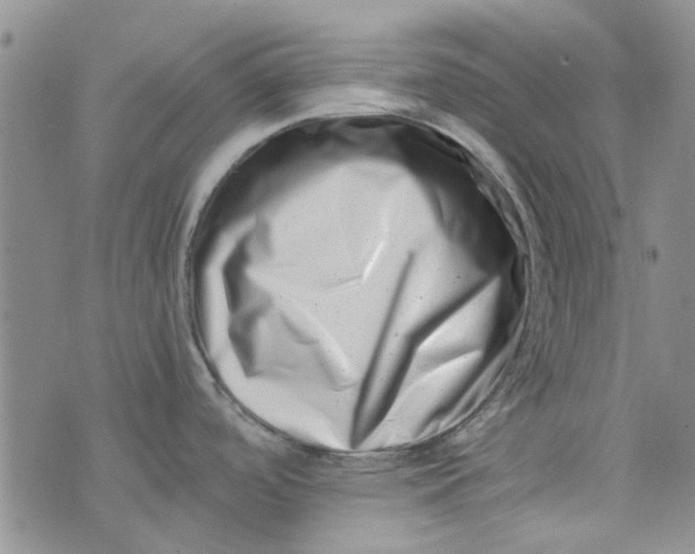 X0000075361488200609251049