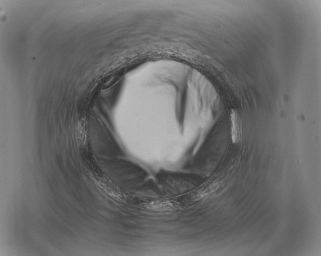 X0000075361491200609251048