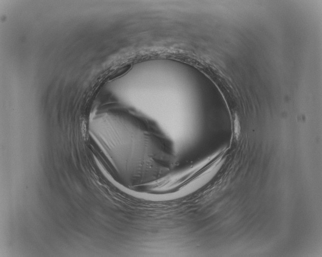 X0000075361492200609251048