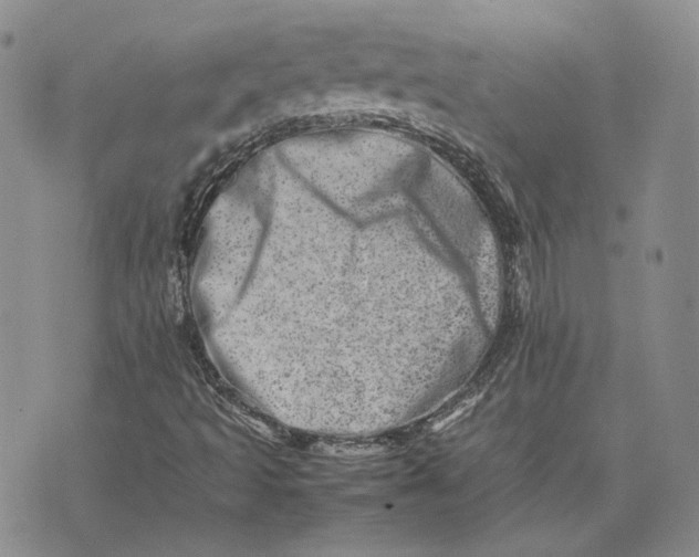 X0000075361493200609251048