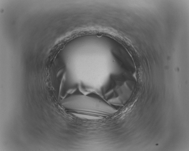 X0000075361494200609251048