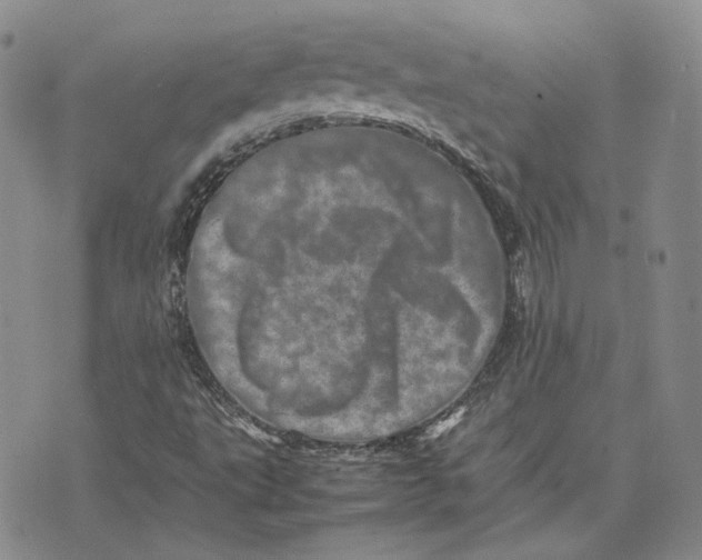 X0000075361495200609251048