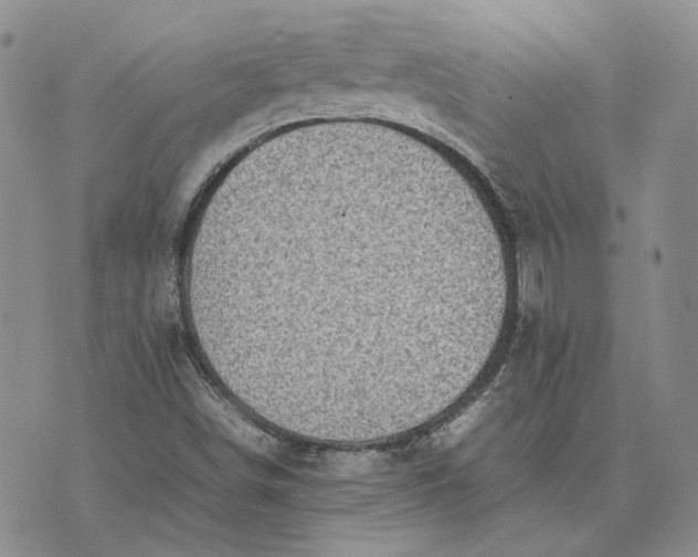 X0000075361498200609251049