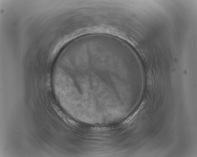 X0000075361499200609251049