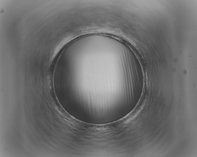 X0000075361501200609251049