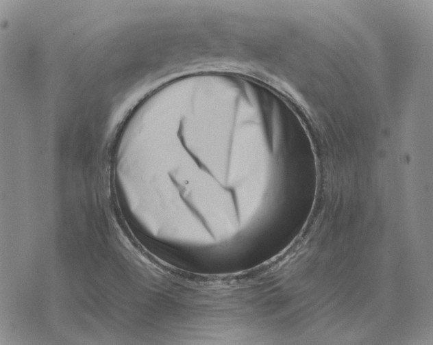 X0000075361504200609251049