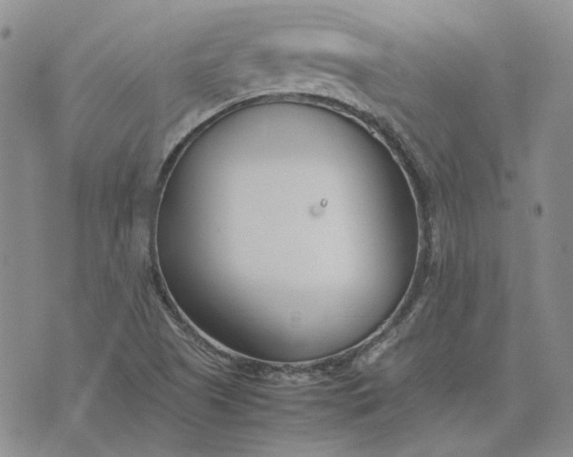 X0000075361505200609251049