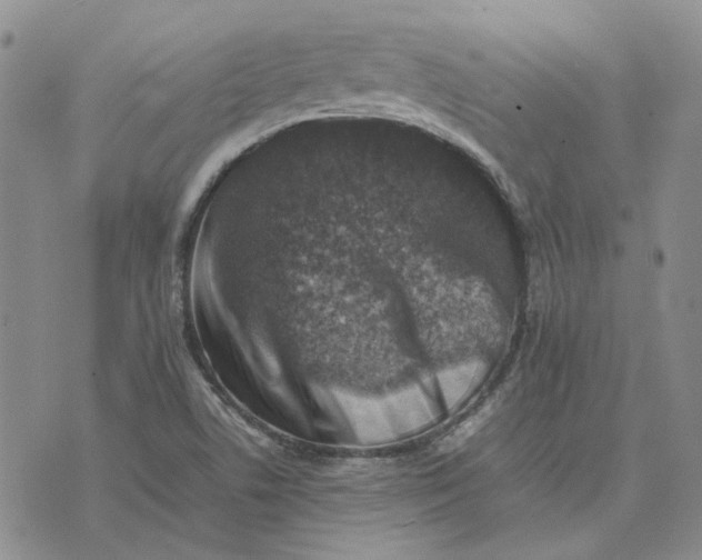 X0000075361506200609251049